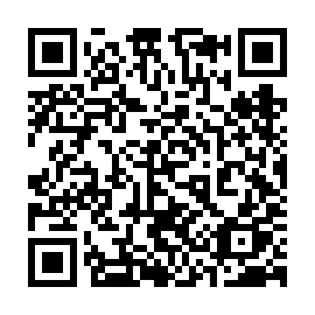 QR code for 336FIP