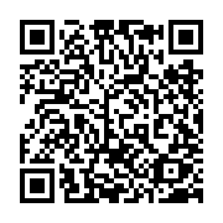QR code for 336GMX