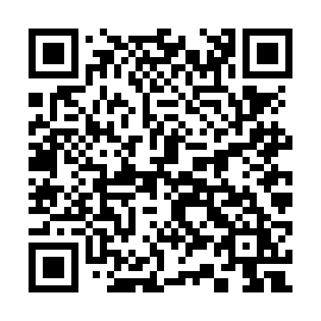 QR code for plate 336-NBZ