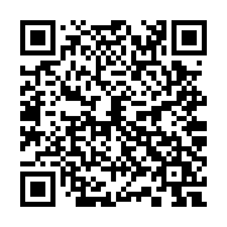 QR code for plate 336-PTU