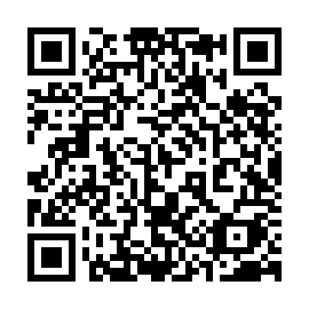 QR code for 336QOI