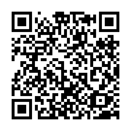 QR code for plate 336-RCX