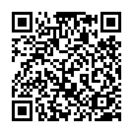 QR code for plate 337-DIQ