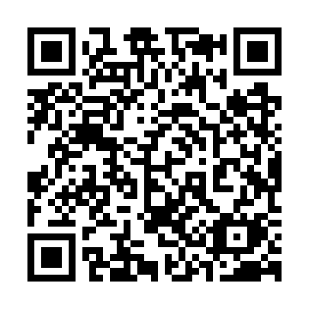 QR code for 338-WSM