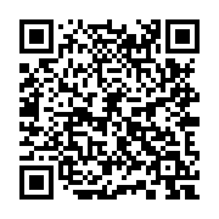 QR code for 338-XYL