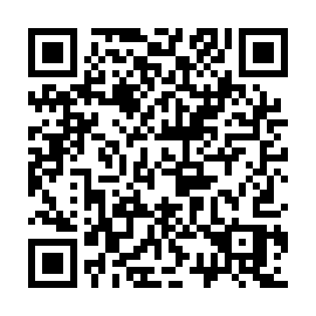 QR code for plate 338-AAS