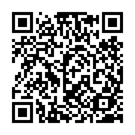 QR code for plate 338-DIJ