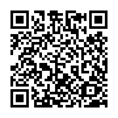 QR code for 338DZZ