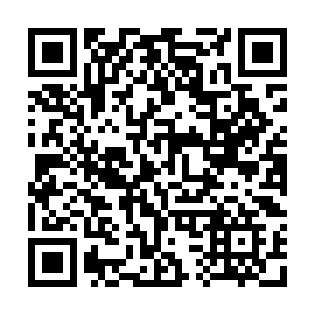 QR code for plate 338-MKG