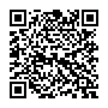 QR code for plate 338-NFB