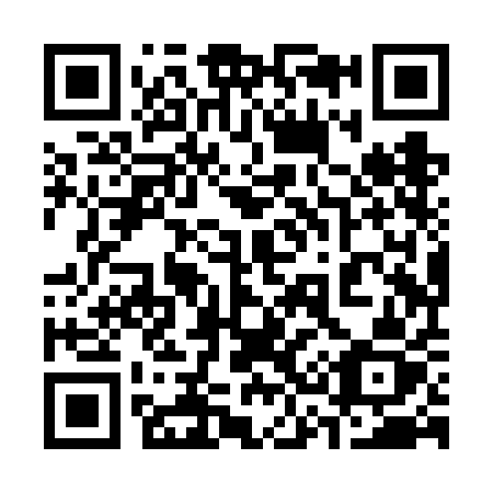 QR code for plate 338-VAZ