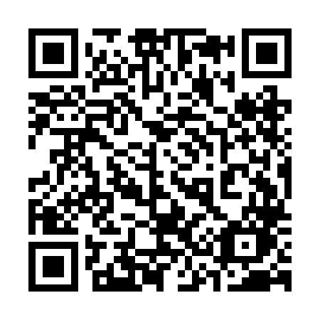 QR code for 339-BLO