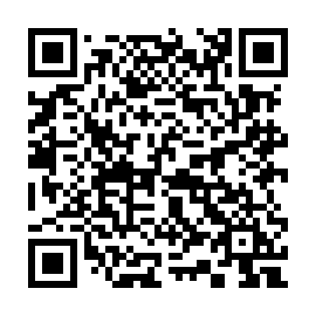 QR code for 339-MEI