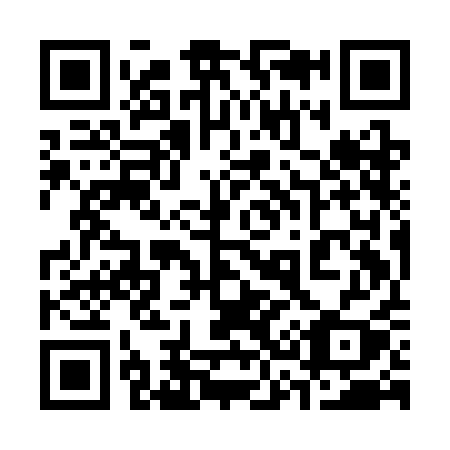 QR code for plate 339-CAY