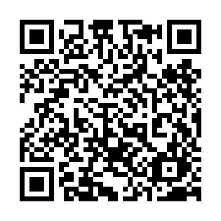 QR code for plate 339-DJL