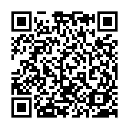 QR code for plate 339-MUK