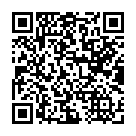 QR code for plate 339-RIV