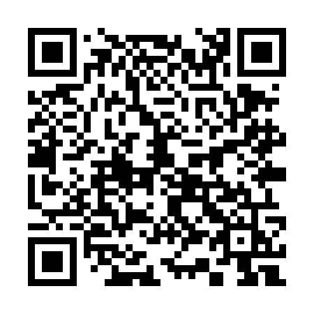 QR code for plate 339-TOJ