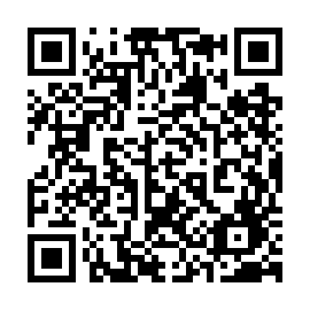 QR code for plate 339-WEF