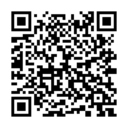QR code for plate 339-ZLD