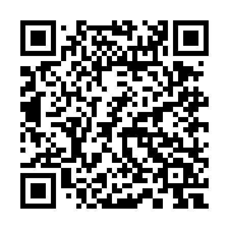 QR code for 341-DLT