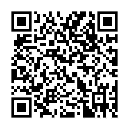 QR code for 341ICM