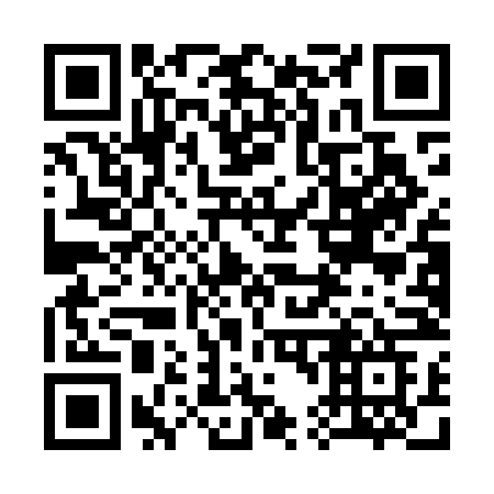 QR code for plate 341-MNG