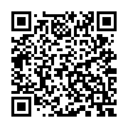 QR code for plate 342-VIZ