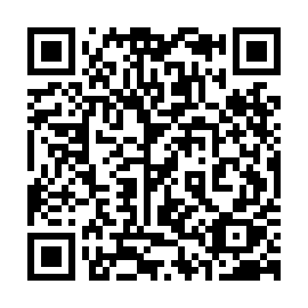 QR code for plate 345-LEX