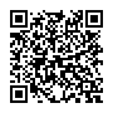 QR code for plate 369-NSR