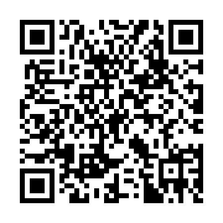 QR code for plate 369-OMX