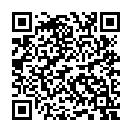 QR code for 370JIN