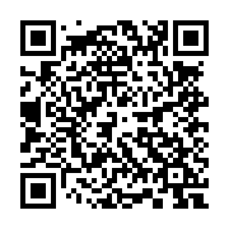 QR code for 370LUG