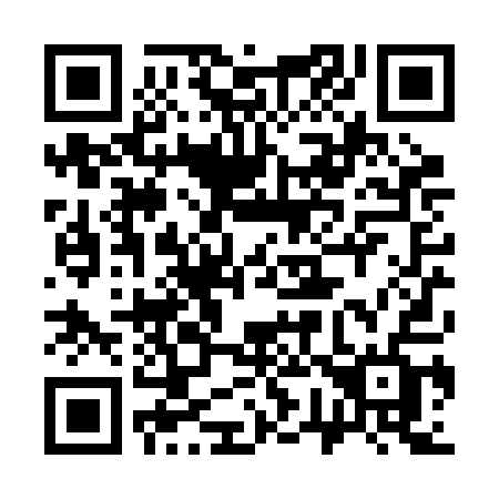 QR code for plate 370-RAF