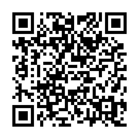 QR code for plate 370-RFM