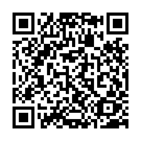 QR code for 375-LIZ