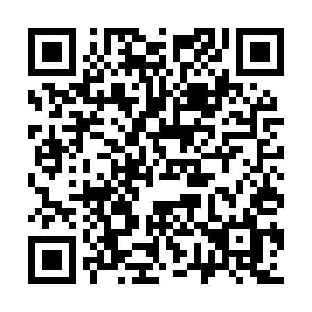 QR code for 375MUL