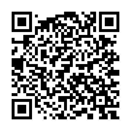QR code for plate 375-TNM