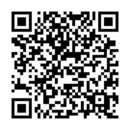 QR code for 376-SNG