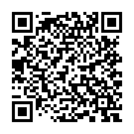 QR code for plate 376-HUY