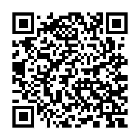 QR code for 377-QLG