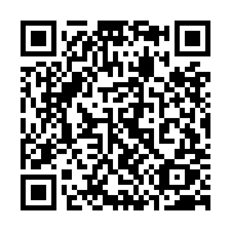 QR code for plate 377-OMX