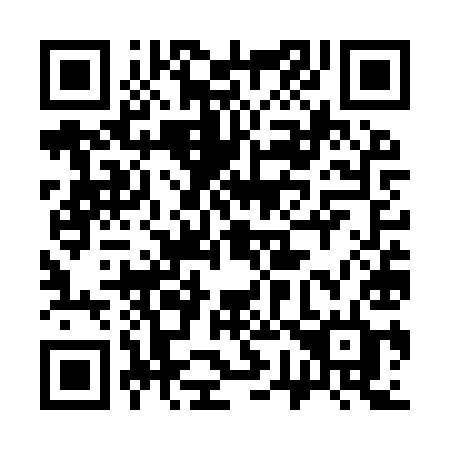 QR code for plate 377-YYD