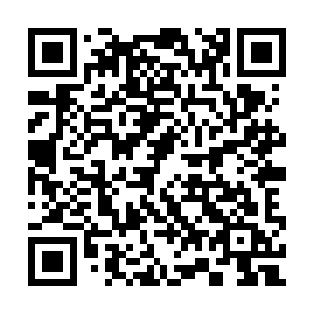 QR code for plate 378-VIC
