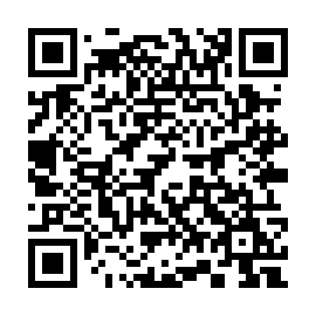 QR code for 379-POM