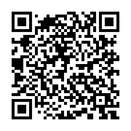 QR code for 379HHP