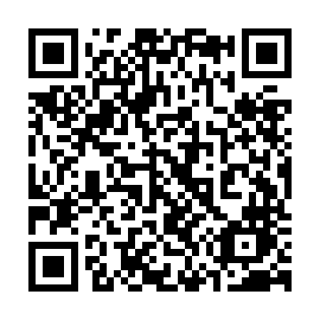 QR code for plate 379-JNN