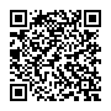 QR code for plate 379-NLX