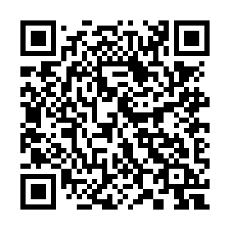 QR code for 380-NIC
