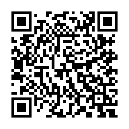 QR code for plate 380-HOJ